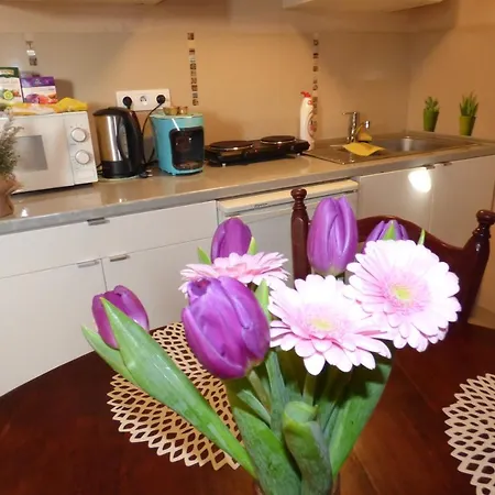 Nice Zamenhofa Apartament *