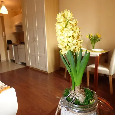 Nice Zamenhofa Apartment